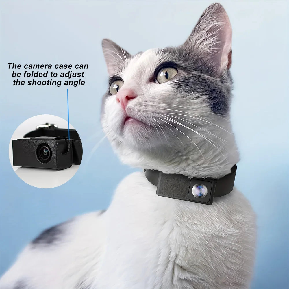 BORME X6 pet collar camera in black, clipped to a dog collar