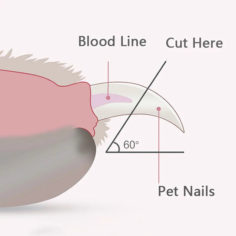 Professional Pet Nail Clippers with LED Light | Safe Trimmer for Dogs & Cats