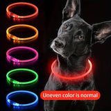 LED Light-Up Dog Collar | USB Rechargeable Anti-Lost Collar | All Sizes