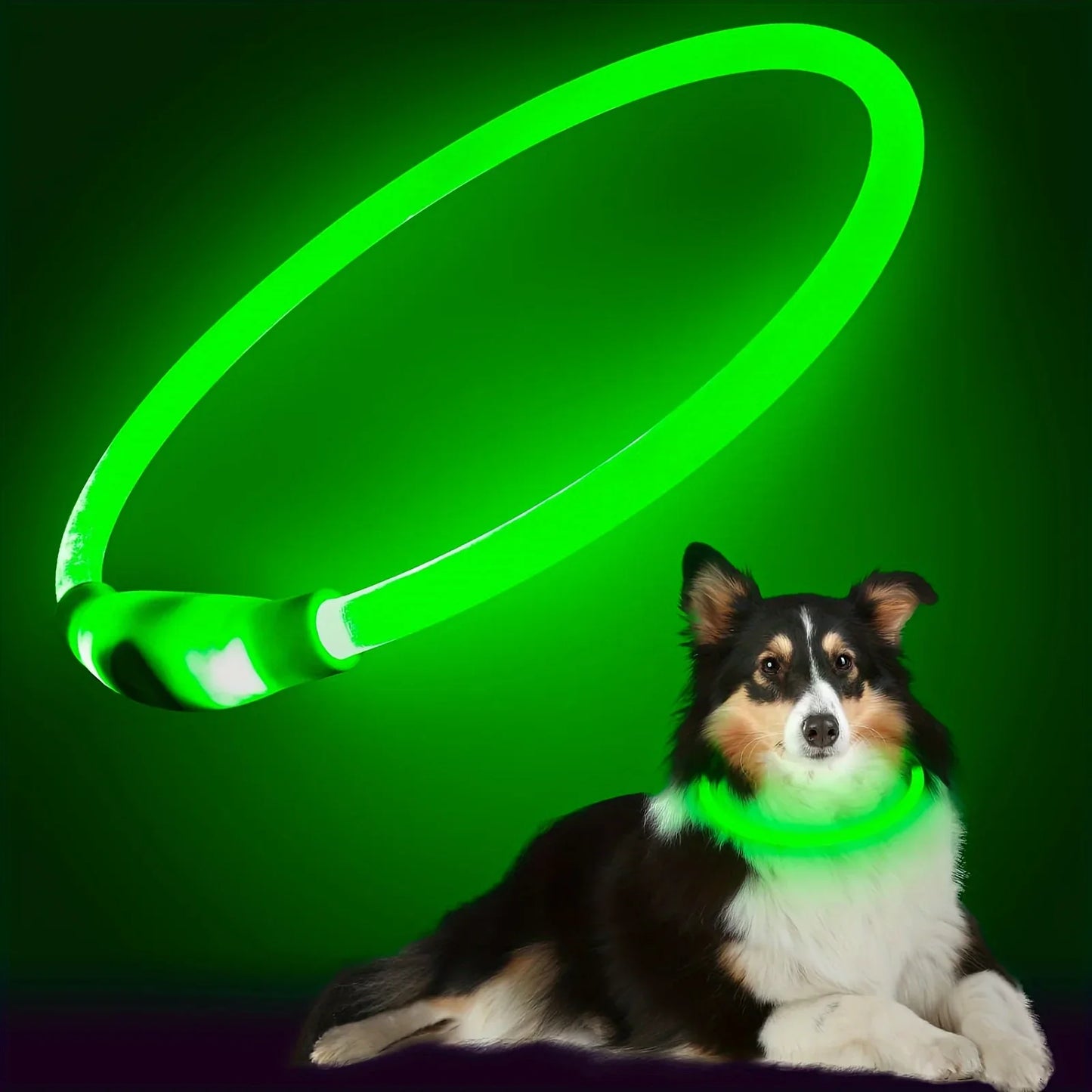 LED Light-Up Dog Collar | USB Rechargeable Anti-Lost Collar | All Sizes
