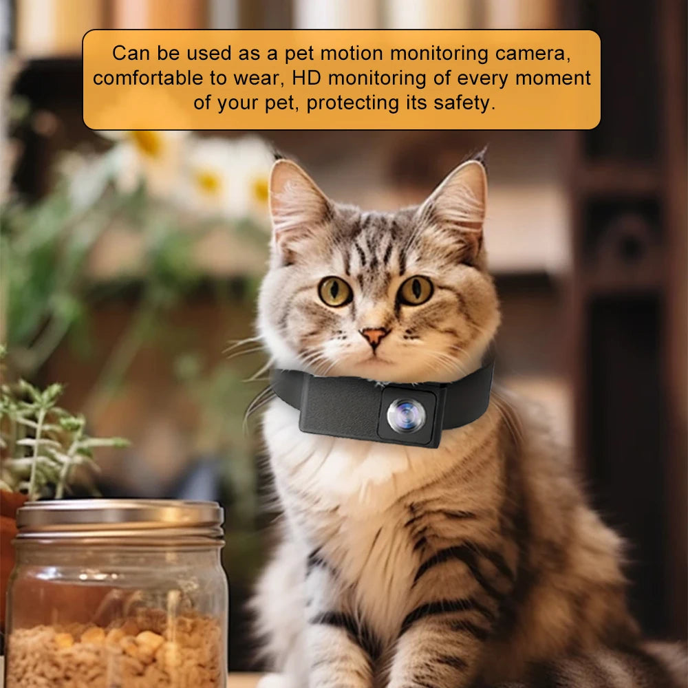 BORME X6 Pet Collar Camera