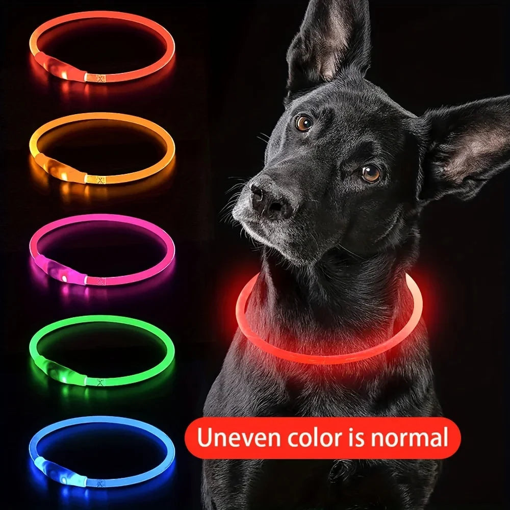 LED Light-Up Dog Collar