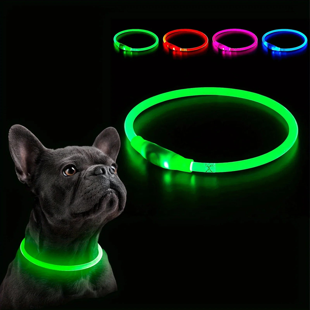 LED Light-Up Dog Collar